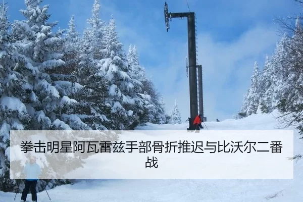 拳击明星阿瓦雷兹手部骨折推迟与比沃尔二番战